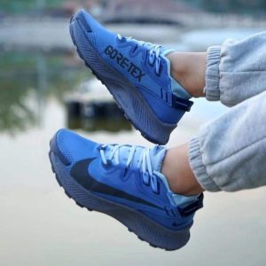 کتونی نایک پگاسوس تریل 2 گورتکس آبی Nike Pegasus Trail 2 Goretex Blue