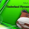 10 دلیل برای خرید کفش تیمبرلند مدل FlyRoam Trail