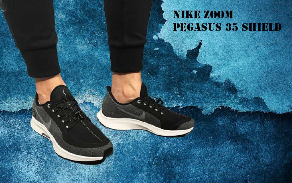 Air Zoom Pegasus 35 Shield