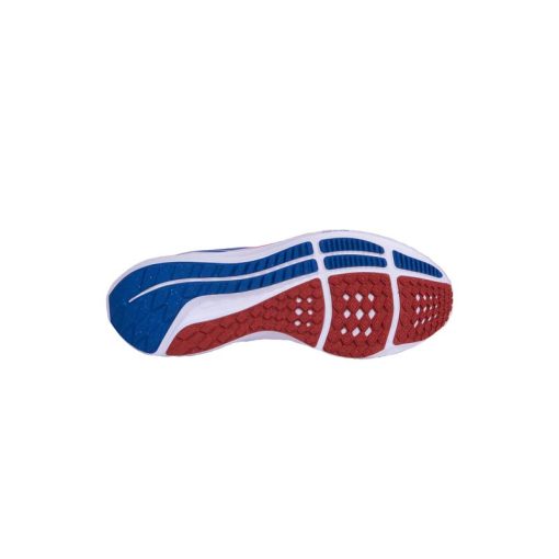 کفش پیاده روی نایک زوم پگاسوس 39 سفید قرمز آبی Nike Air Zoom Pegasus 39 USATF