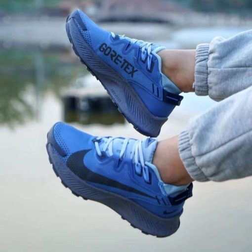 کتونی نایک پگاسوس تریل 2 گورتکس آبی Nike Pegasus Trail 2 Goretex Blue