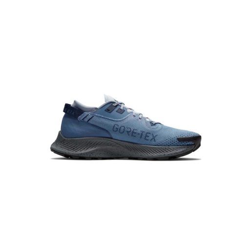 کتونی نایک پگاسوس تریل 2 گورتکس آبی Nike Pegasus Trail 2 Goretex Blue
