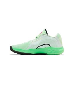 کتونی بسکتبالی نایک جردن لوکا 4 طوسی سبز Nike Air Jordan Luka 4 Space Navigator